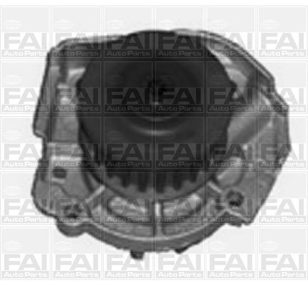 FAI AUTOPARTS Водяной насос WP6519